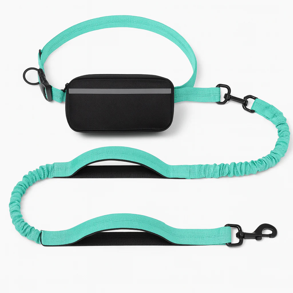 Hands-Free Dog Leash