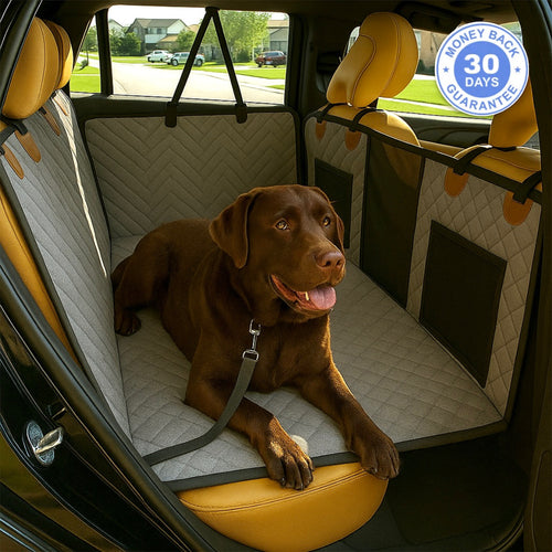 Dog Backseat Extender