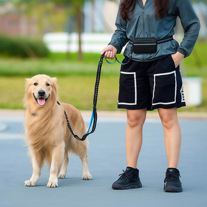 Hands-Free Dog Leash