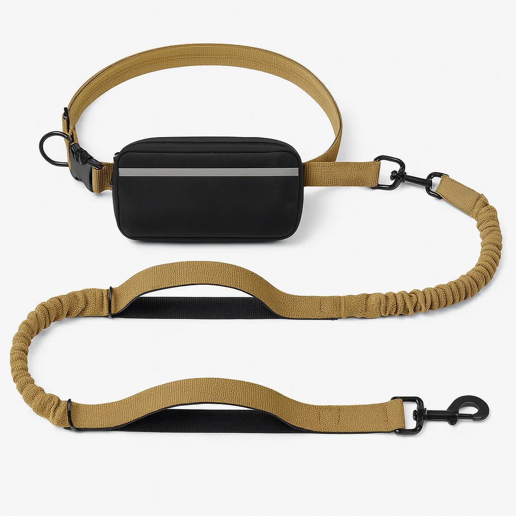 Hands-Free Dog Leash