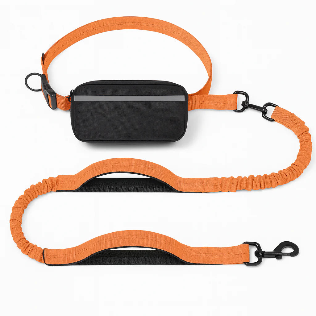 Hands-Free Dog Leash