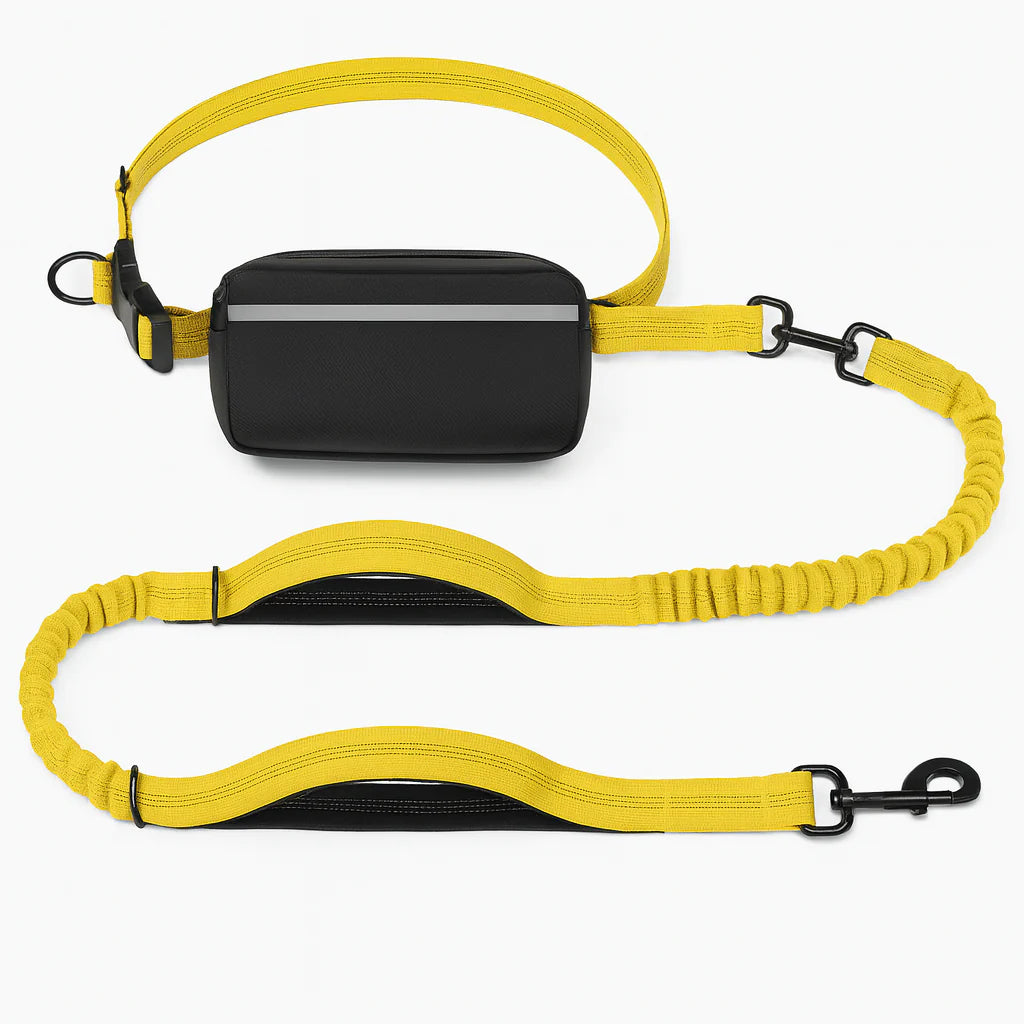 Hands-Free Dog Leash