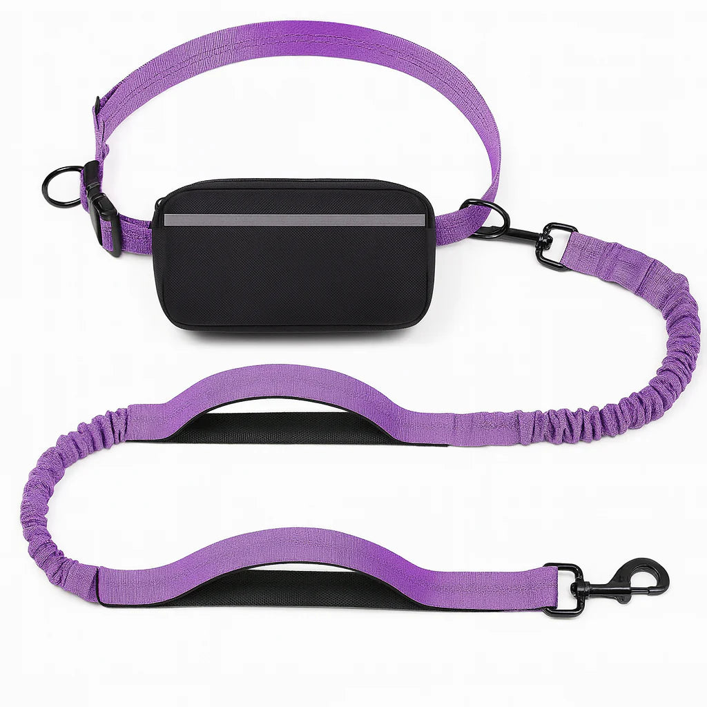 Hands-Free Dog Leash