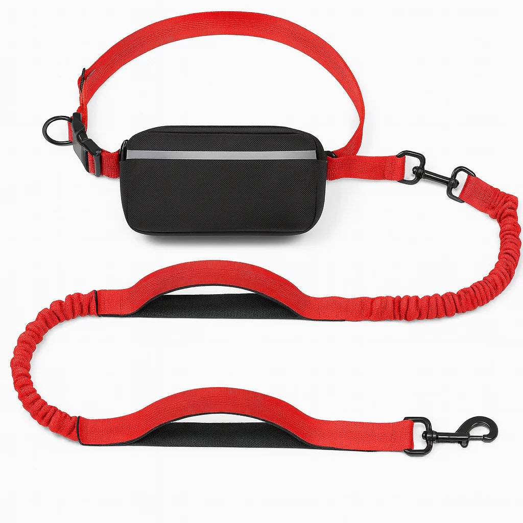 Hands-Free Dog Leash
