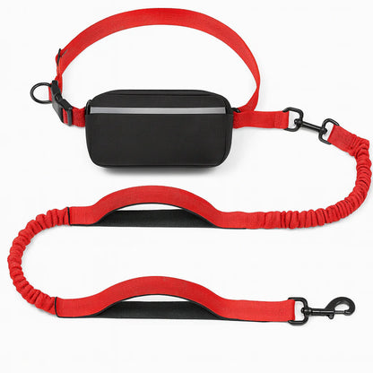 Hands-Free Dog Leash