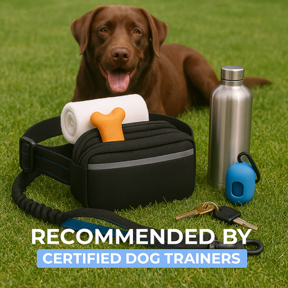 Hands-Free Dog Leash